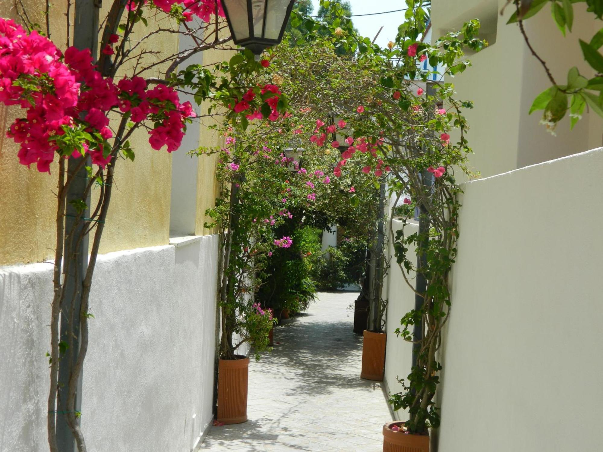 Hotel Villa Hermosa Ίσκια Εξωτερικό φωτογραφία